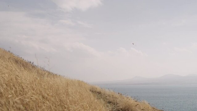 Slow motion of birds flying over lake am mountains in autumn