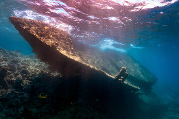 shipwreck on coral reef