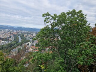 Fototapeta na wymiar Der Fluss Mur in Graz