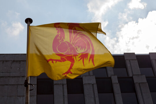 Wallonian flag waving in mid air