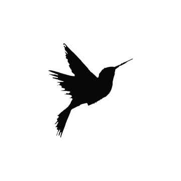 Hummingbird icon. Simple style beauty cosmetic poster background symbol. Hummingbird brand logo design element. Hummingbird t-shirt printing. Vector for sticker.
