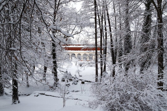 Beautiful winter photo of snow-covered Brukenthal Park in Avrig, Romania