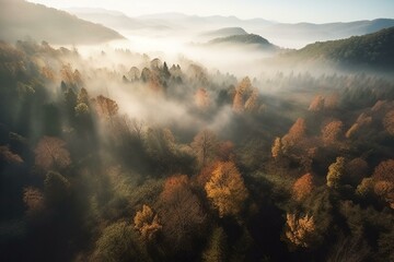 Fototapeta na wymiar Breathtaking aerial view of a mystical forest with colorful fog and mythical creatures in the day, infused with fantasy. Generative AI