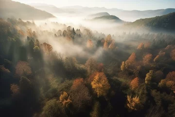 Foto op Plexiglas Breathtaking aerial view of a mystical forest with colorful fog and mythical creatures in the day, infused with fantasy. Generative AI © Jeff
