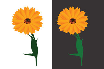 Plant, nature, flower, summer, logo vector illustration