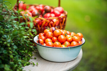 Table with a variety of baskets and bowls filled with ripe tomatoes