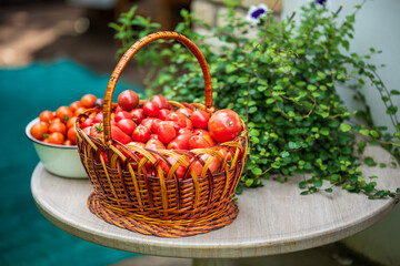 Table with a variety of baskets and bowls filled with ripe tomatoes