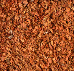 Coconut Coir compost background.