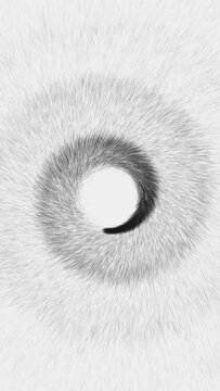 Vertical video - elegant black and white spiral of particles background. Black particles spiraling and radiating outwards. This minimalist motion background animation is full HD and a seamless loop.