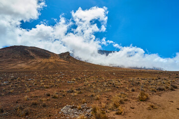 Fototapeta na wymiar view of the foothills of kilimanjaro