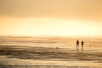 The coast of the Atlantic Ocean at dawn in heavy fog. Silhouettes of people on the shore walking at dawn. USA. Maine.