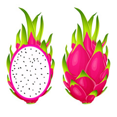 summer tropical fruits for healthy lifestyle red dragon fruit whole fruit and half vector illustration flat cartoon icon isolated on white.Vector eps 10