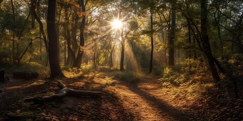Sunlight in the forest, generative AI