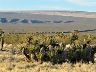 Freight train making its way through the Mojave Desert as seen from the top of a hill covered with...