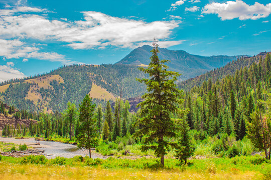 Shoshone National Forest, Wyoming 