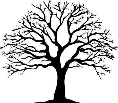 Silhouette of a tree, branches. Vector illustration
