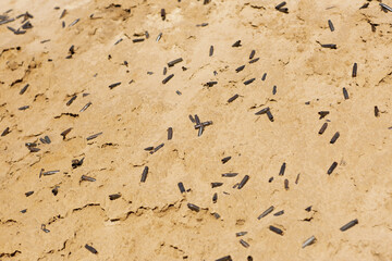 Bullet shells lie on the sand