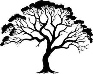 Vector illustration. Bare tree silhouette without barren leaves dead no scary black life. Hand drawn. Isolated on white background.