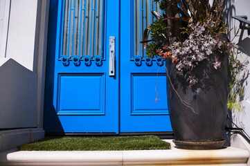 blue door with mat and plant.