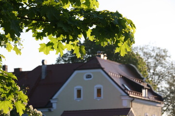 Ufer der Loisach in Wolfratshausen
