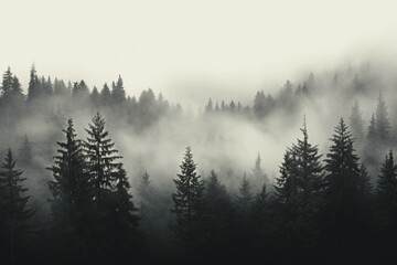 Monochrome atmospheric wallpaper depicting a foggy forest with mist. Generative AI - obrazy, fototapety, plakaty