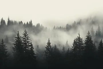 Foto op Plexiglas Monochrome atmospheric wallpaper depicting a foggy forest with mist. Generative AI © Adelais