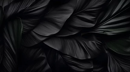 Poster Textures of abstract black leaves for tropical leaf background. Flat lay, dark nature concept, tropical leaf, digital ai © Prasanth