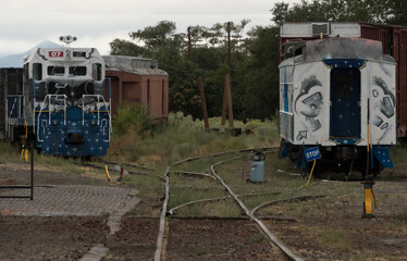 Painted trains at Lamy depot