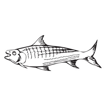 recommend clip art: Minimalistic drawing of a fish. Scrapbooking. Line art. Vector illustration