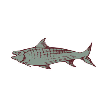 recommend clip art: Minimalistic drawing of a fish. Scrapbooking. Line art. Vector illustration