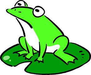 Tree frog and Lotus leaf