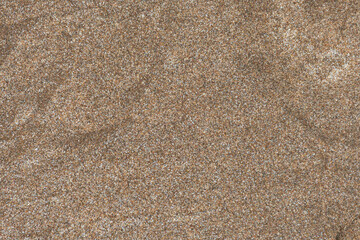 Background or texture of wet beach sand