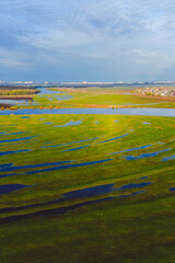 landscape of the river