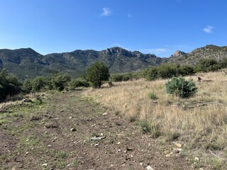Mount Livermore in the Davis Mountains of west Texas