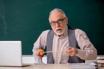 Old male teacher explaining human heart structure