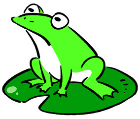 Tree frog and Lotus leaf