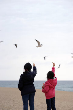 Two girls feeding seagulls (back view)