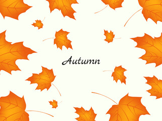 Falling leaves background.Falling leaves.Autumn leaves