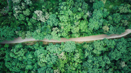 Top down view from drone over a small dirt road with trees and forest around, transportation, dirt access, nature, aerial landscape, panorama - Powered by Adobe