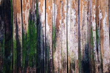 Background image of a bamboo lattice that is damp and has algae growing on it.