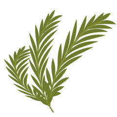 Tropical palm leaves