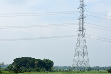 There is no high voltage electricity in the middle of vast rice fields
