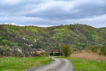 Fototapeta na wymiar a village in the Djerdap Gorge near the Danube River in Serbia. 