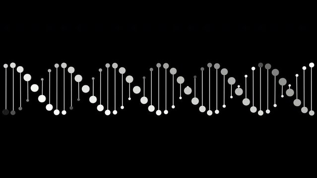 DNA_Animation Loop01