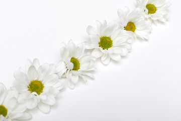 Flowers composition. Frame made of various yellow flowers on white background. Easter, spring, summer concept. Flat lay, top view, copy space.