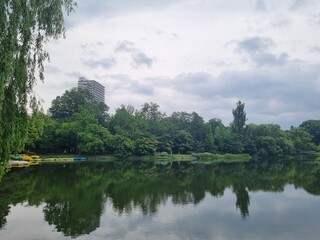 Lake and forest with cloudy sky