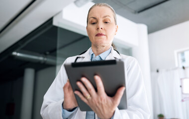 Woman, doctor and tablet in research, Telehealth or communication for results or networking at hospital. Female person, healthcare or medical surgeon working on technology for online search at clinic