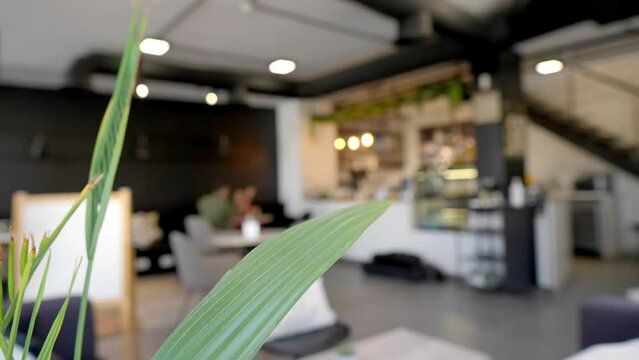 fresh green leave and coffee bar in the background - closeup - (High quality colors)
