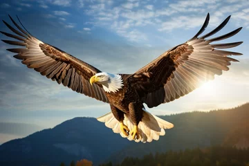 Zelfklevend Fotobehang bald eagle in flight © Vasili