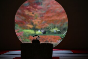鎌倉　明月院の紅葉 - obrazy, fototapety, plakaty